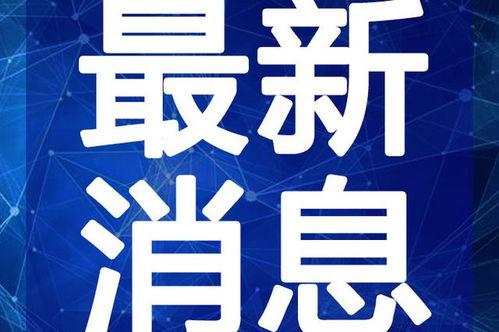 三亚民宿爆料视频最新,揭秘隐藏的奢华与价格真相
