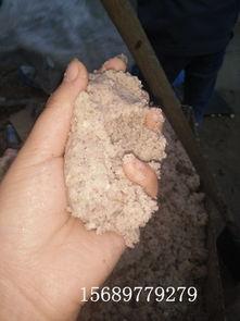 红薯淀粉最新爆料视频,最新爆料视频深度解析