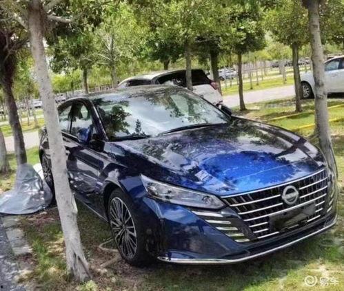 天籁最新款爆料视频,科技与艺术的完美融合